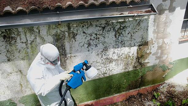 Top rated local Mold Cleanup specialists in Topsfield, MA